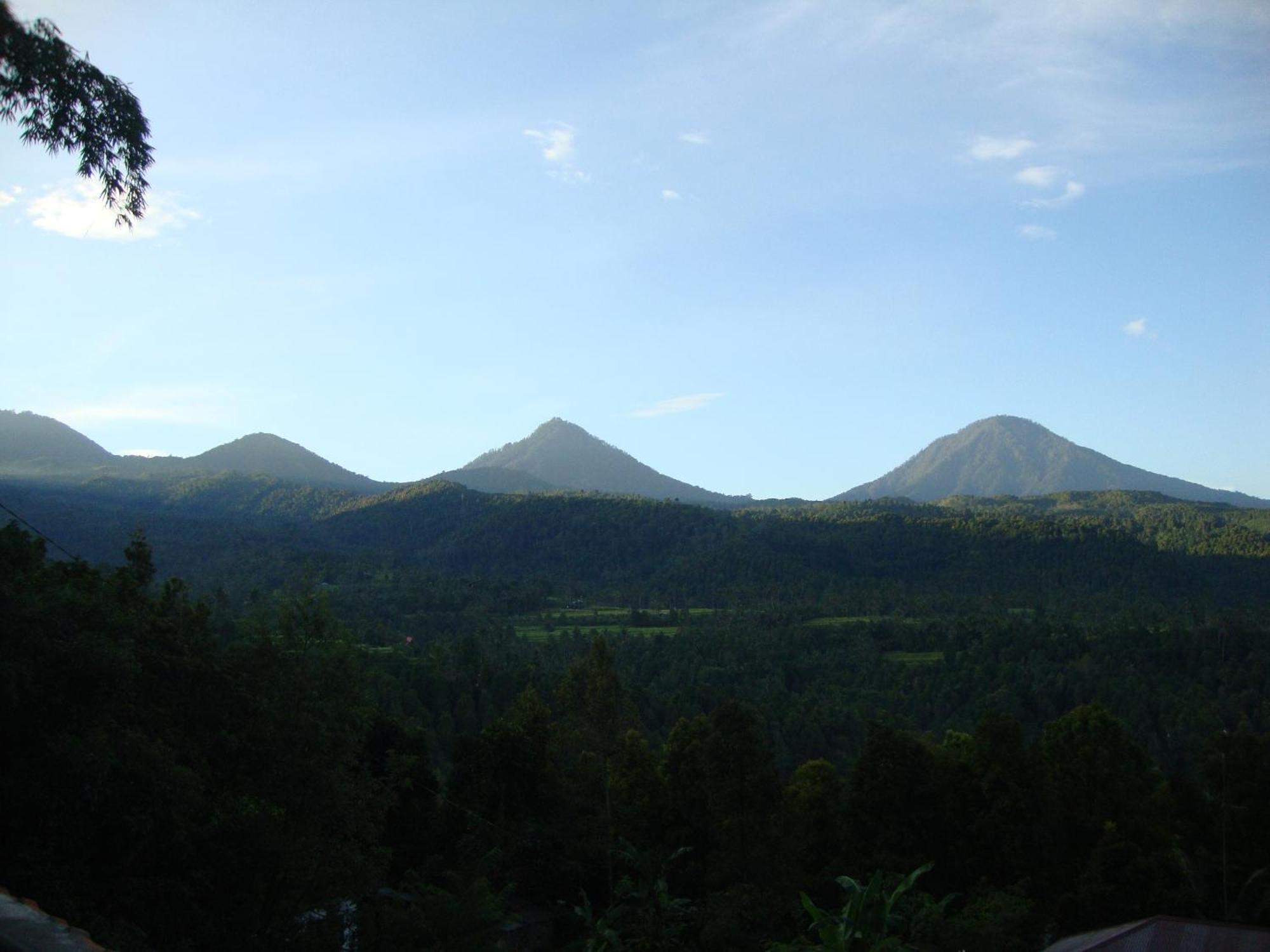 Edy Homestay Munduk Exterior foto